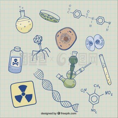生物素描背景
